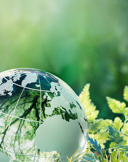 RP Technik Environment declaration Environment declaration